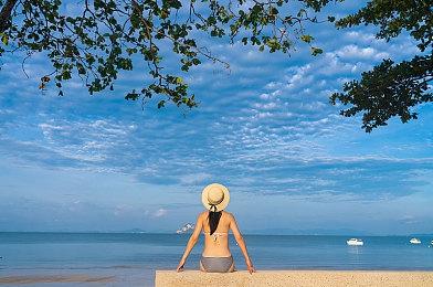 《生态系统》登陆Steam 创意进化冒险